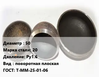 Заглушка стальная 50 Сталь: 20 Ру1.6 поворотная плоская ГОСТ: Т-ММ-25-01-06